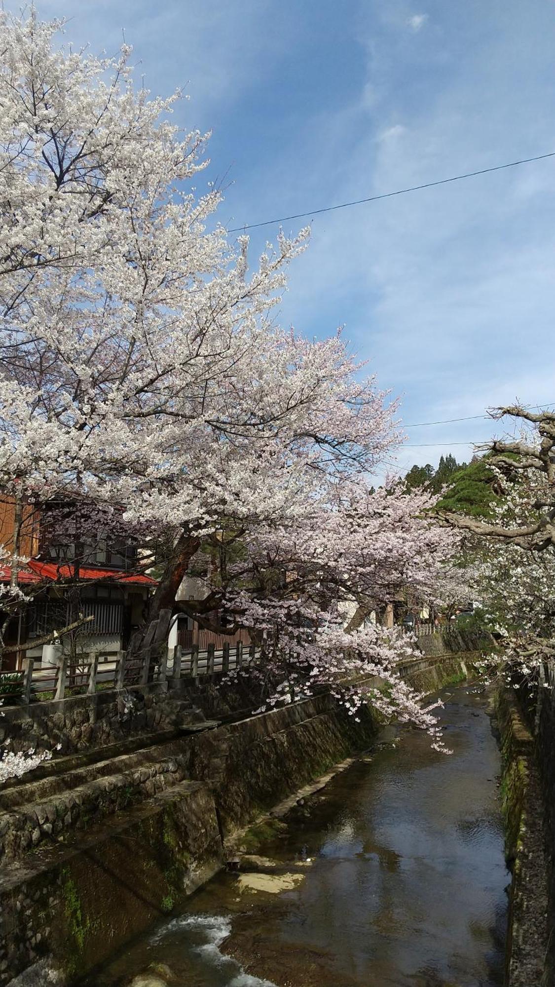 Daihachi Hotel Takayama  Bagian luar foto